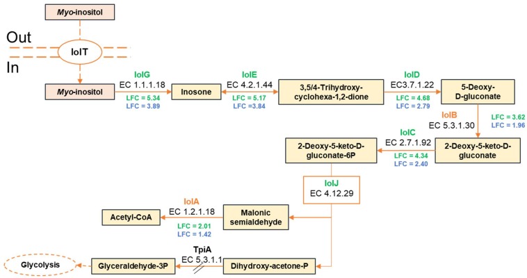 FIGURE 3