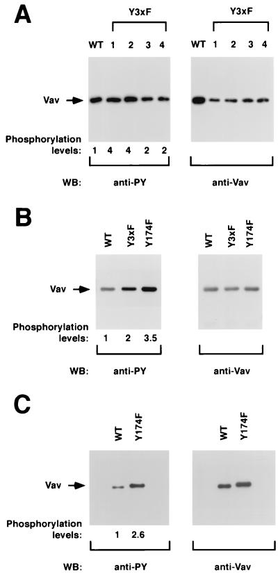 FIG. 8