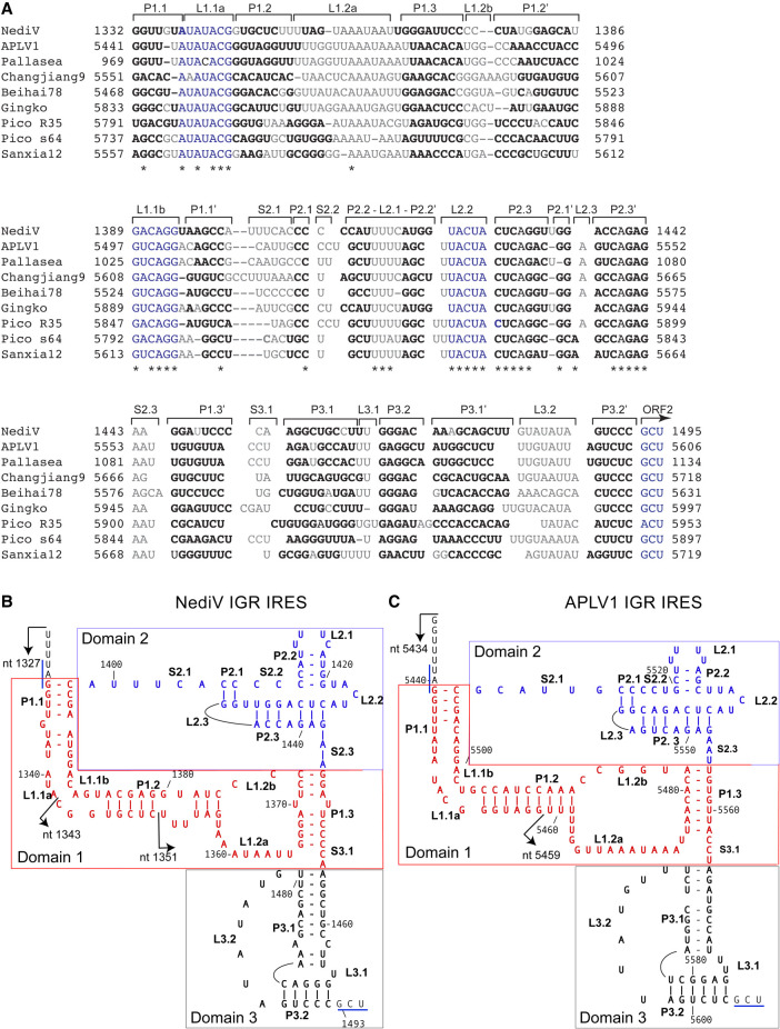 FIGURE 2.