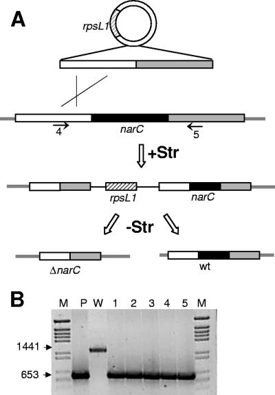 FIG. 4.