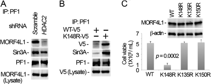 FIGURE 7.