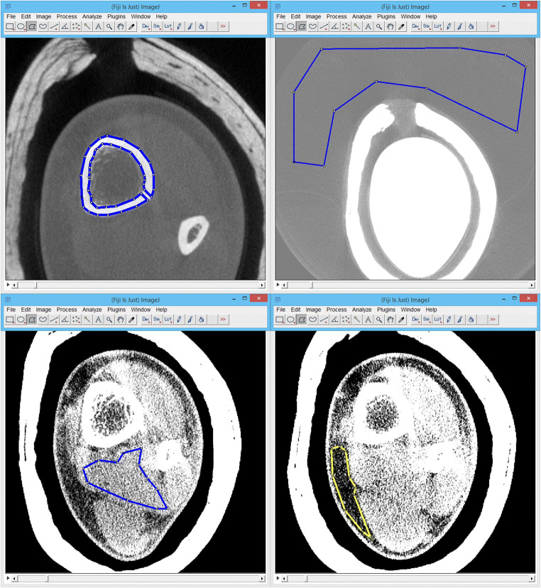 Fig. 2