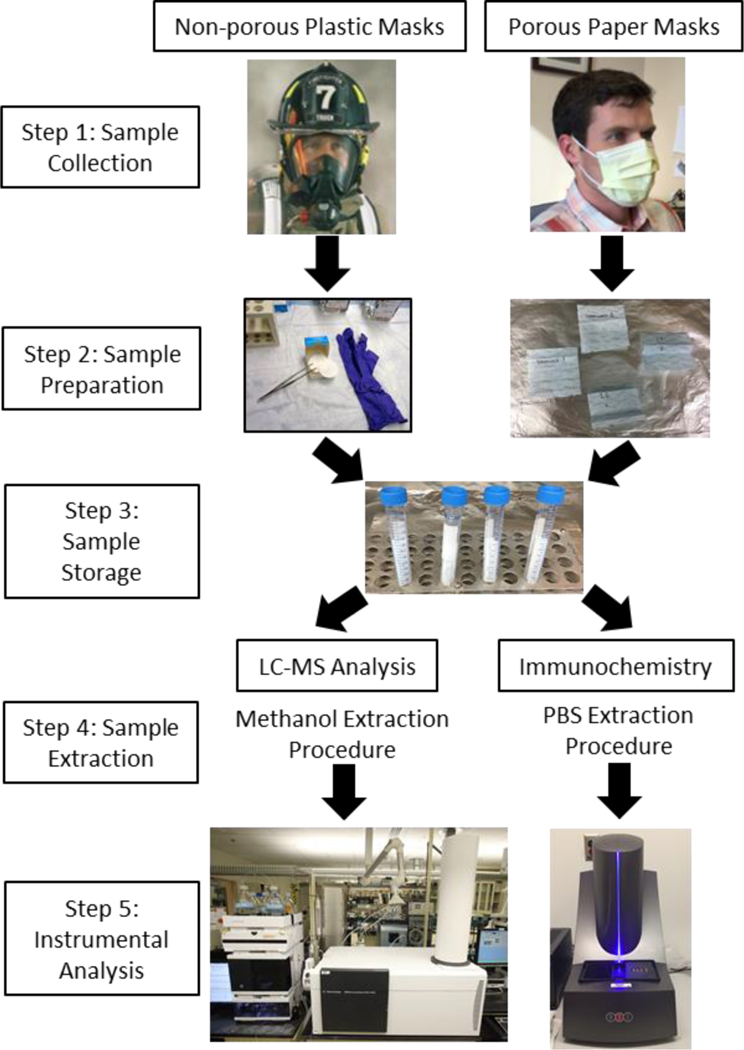 Figure 2: