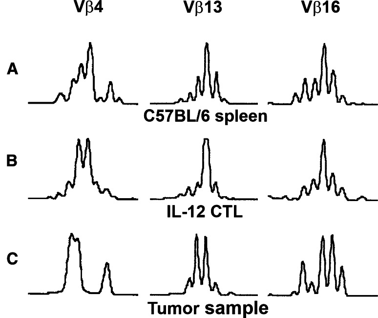 Fig. 7