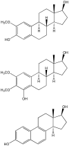 Fig. 13