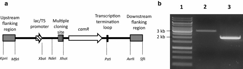 Fig. 6