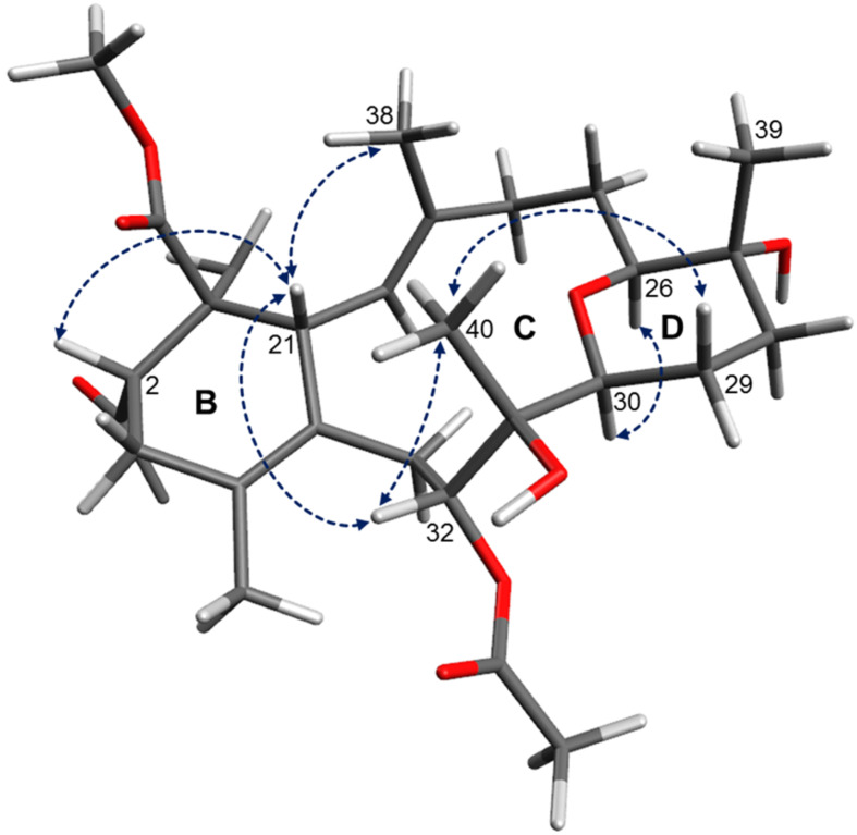 Figure 10