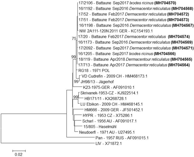 Fig. 2