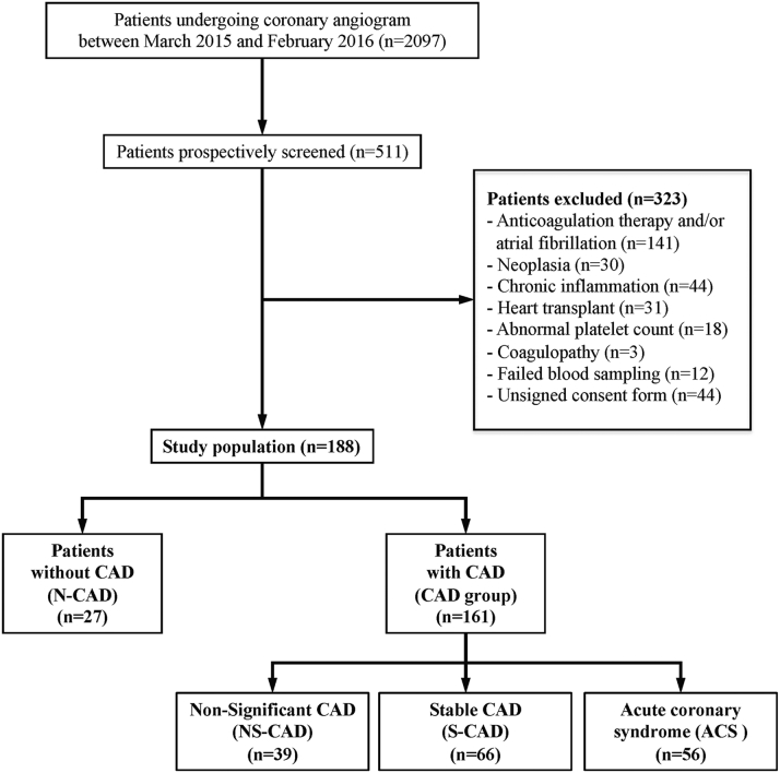 Figure 1