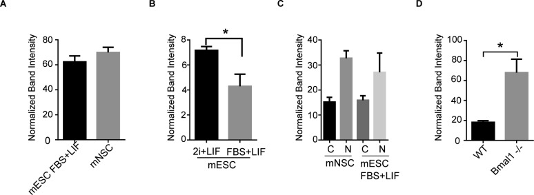 Figure S1.