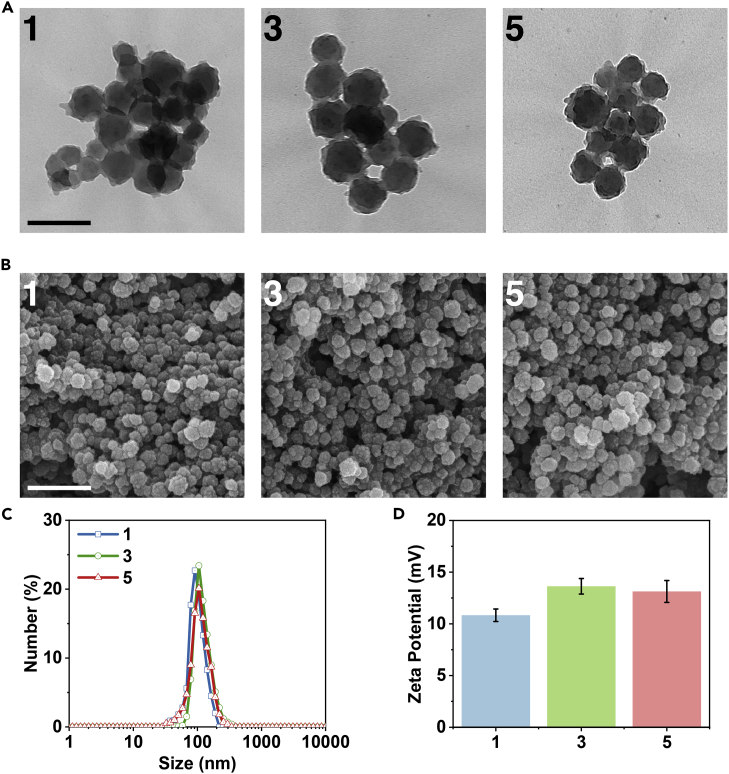 Figure 3