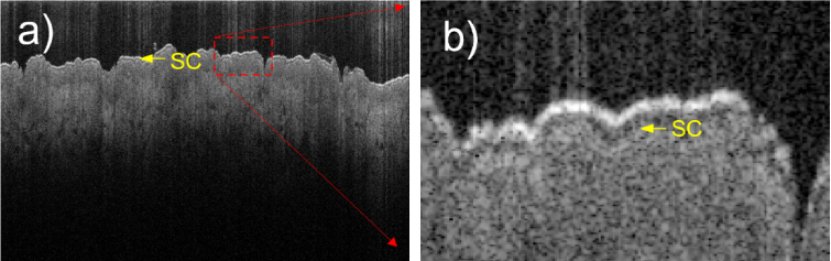 Fig. 5.