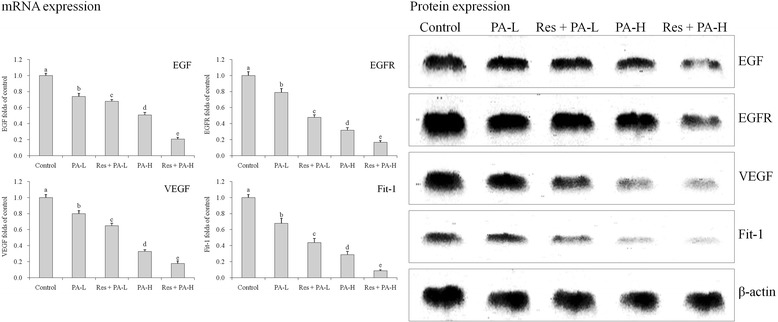 Fig. 12