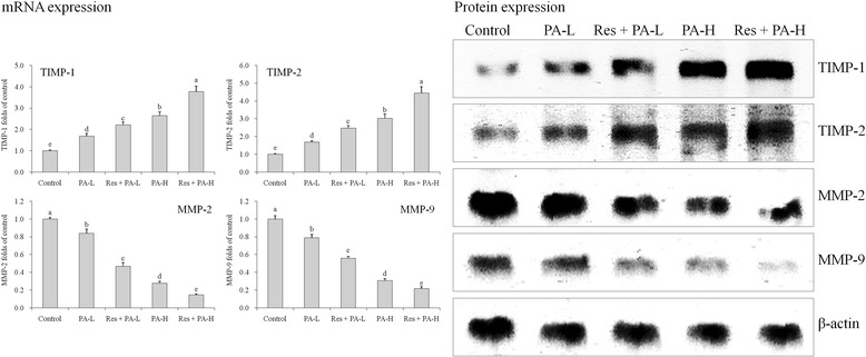 Fig. 11