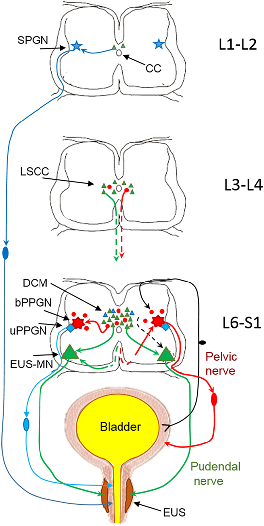 Fig.1