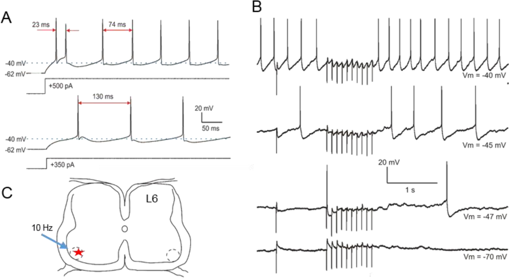 Fig.9