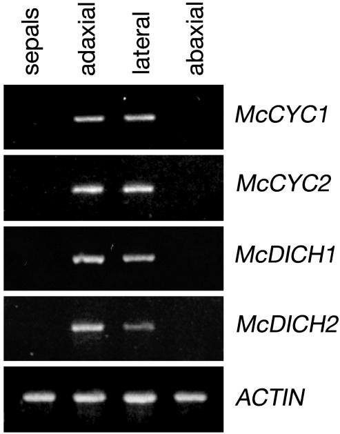 Fig. 5.