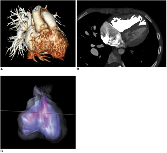 Fig. 13