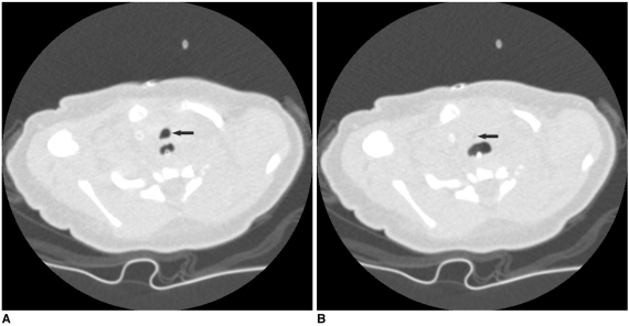 Fig. 10