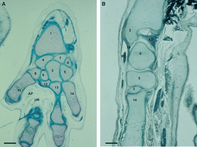 Fig. 2