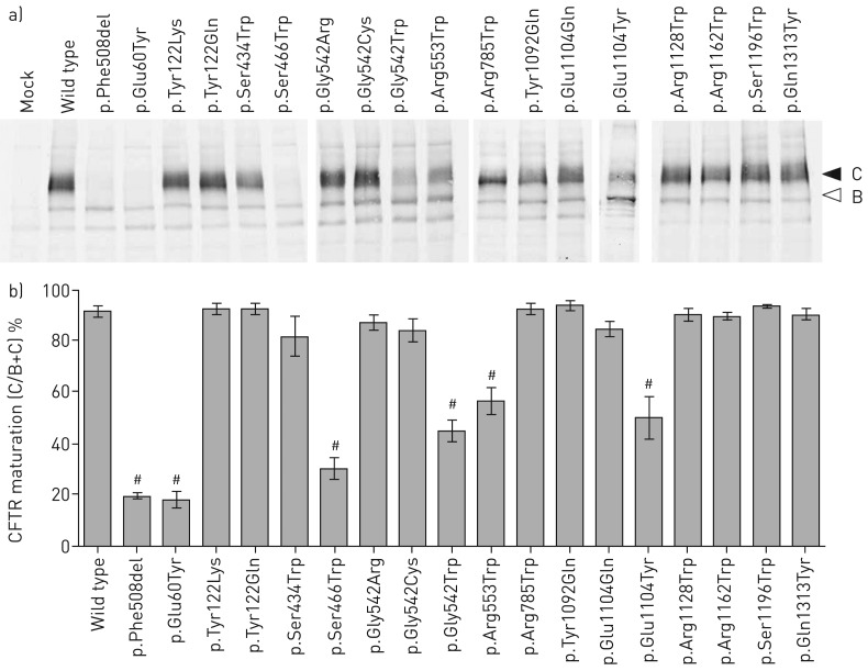 FIGURE 5