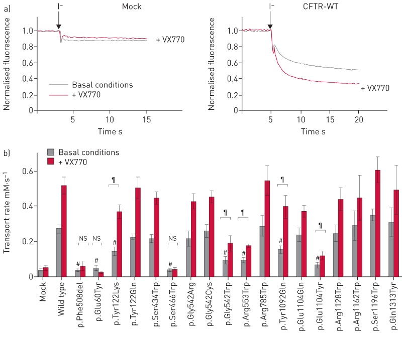 FIGURE 6