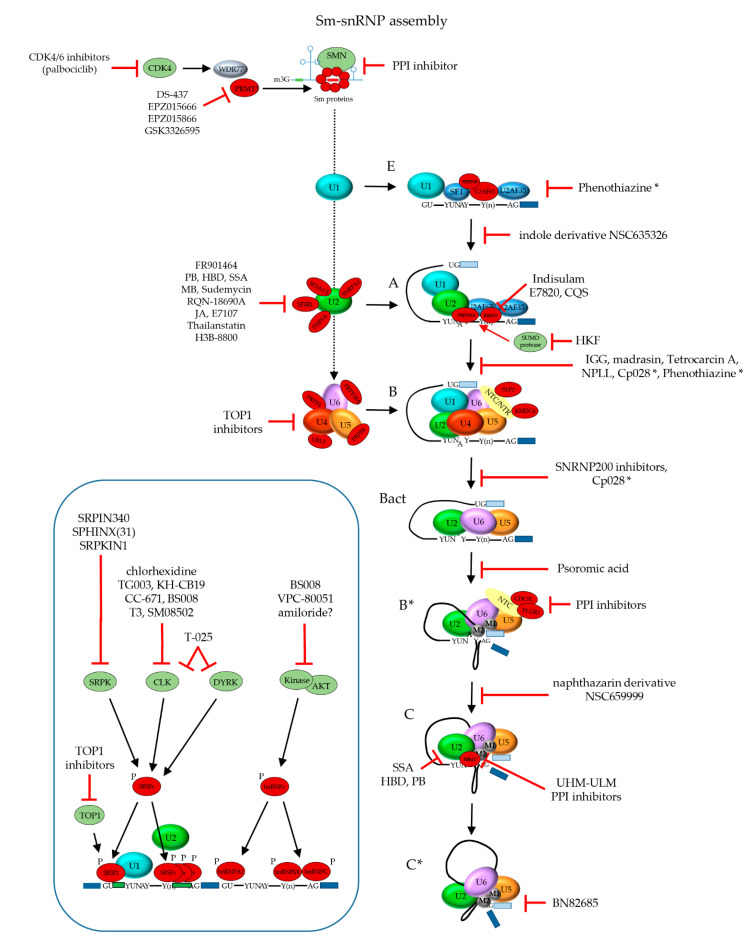 Figure 7