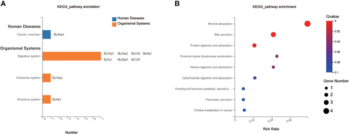 Figure 6