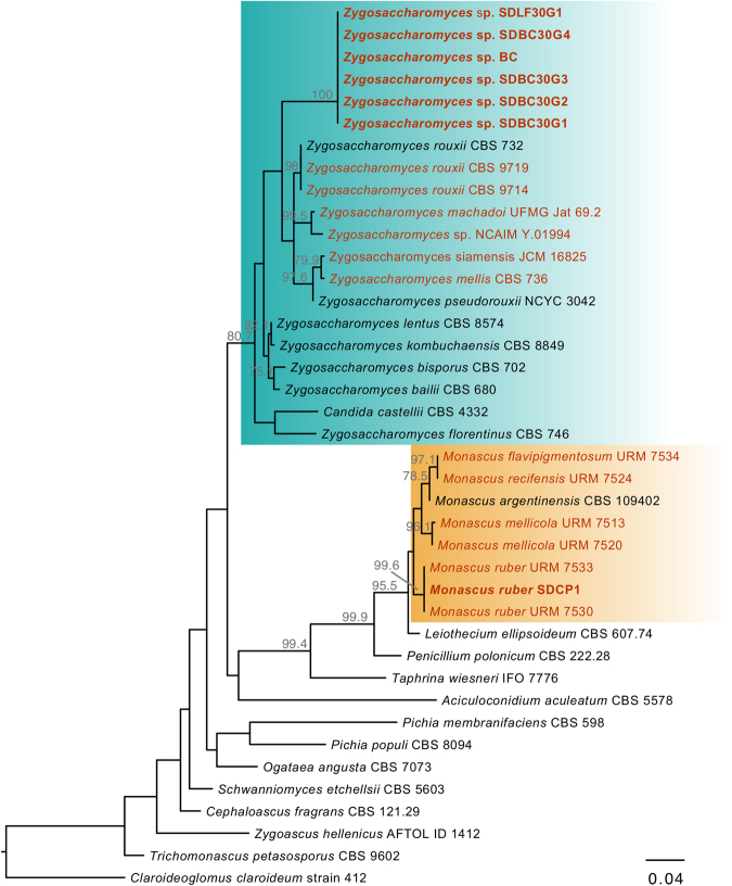 Figure 2