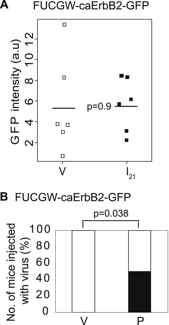 Figure 1—figure supplement 2.