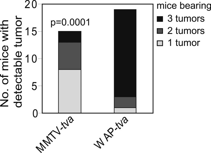 Figure 4—figure supplement 4.