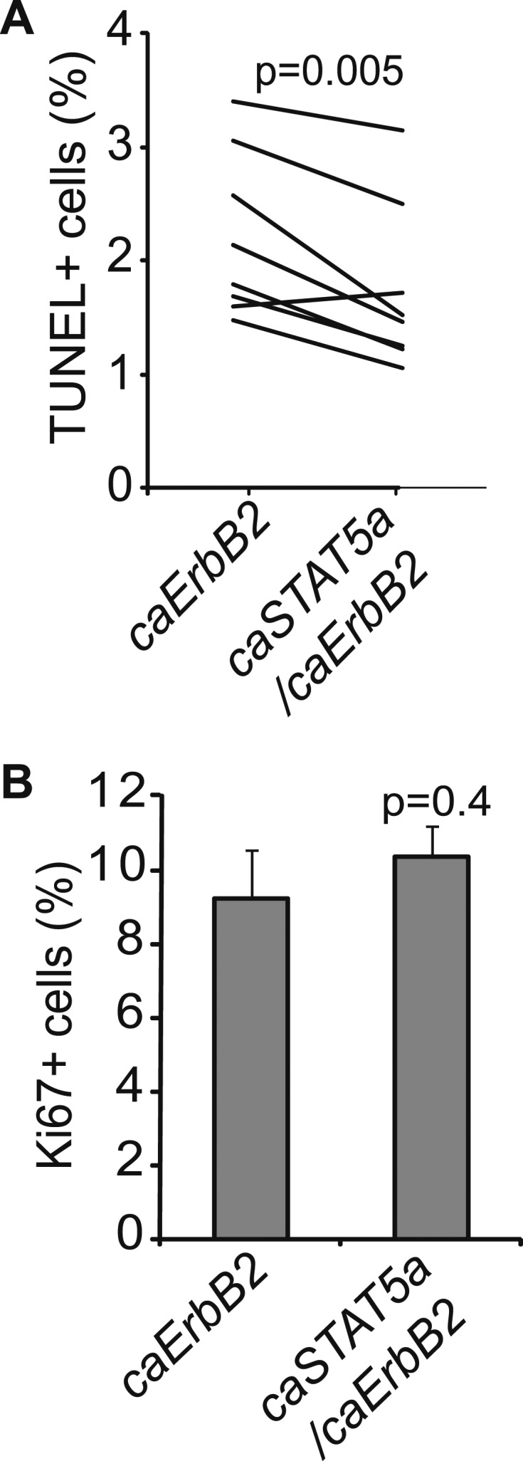 Figure 4—figure supplement 1.