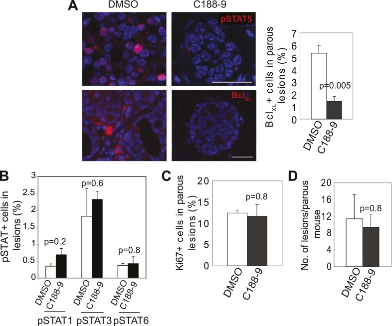 Figure 6—figure supplement 3.