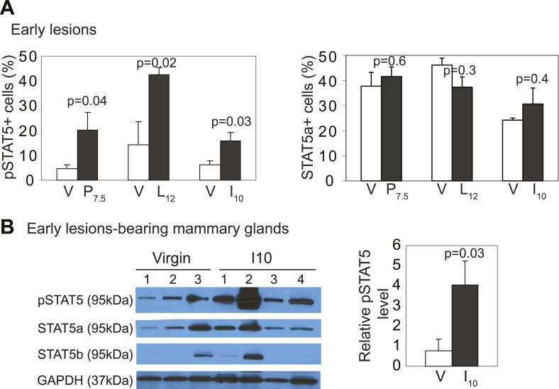 Figure 3—figure supplement 1.