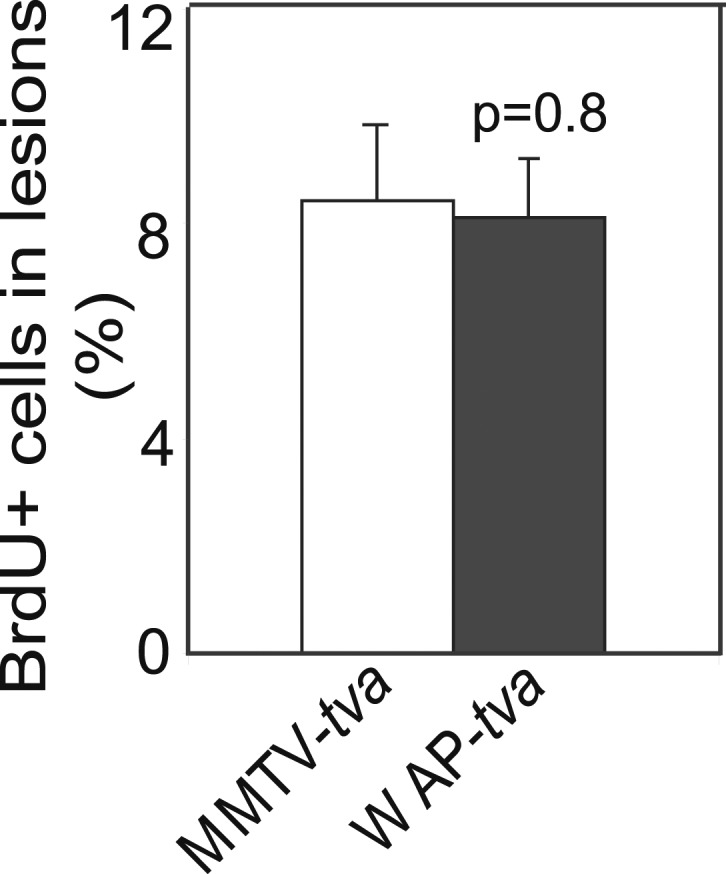 Figure 4—figure supplement 3.