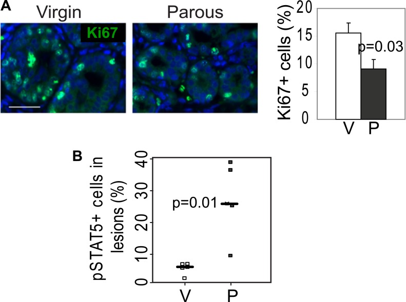 Figure 2—figure supplement 1.