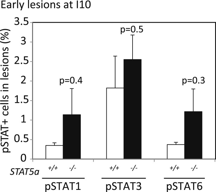 Figure 5—figure supplement 2.