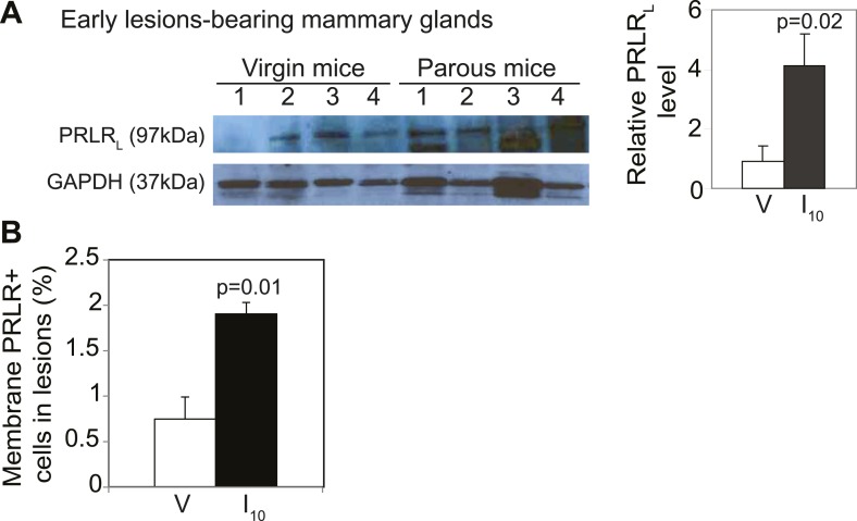 Figure 3—figure supplement 4.