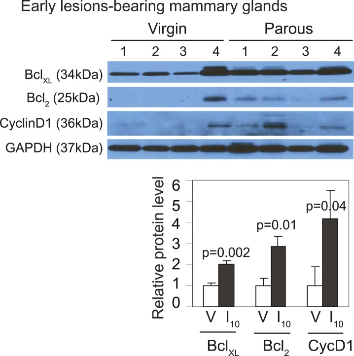 Figure 3—figure supplement 2.