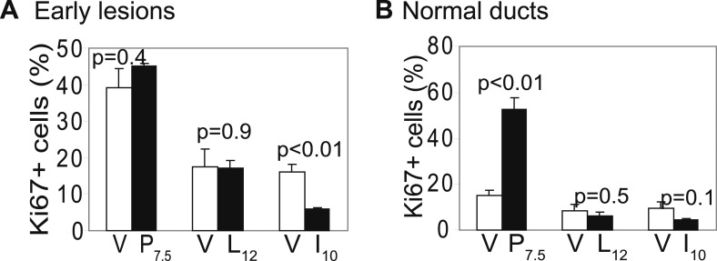 Figure 1—figure supplement 3.