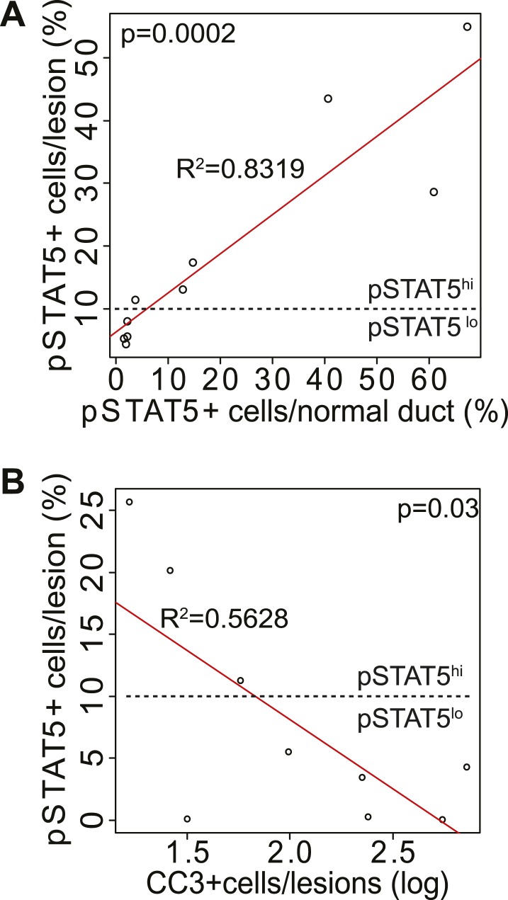 Figure 4—figure supplement 2.