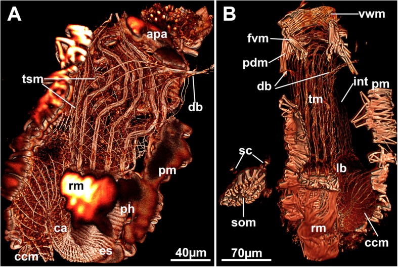 Fig. 9