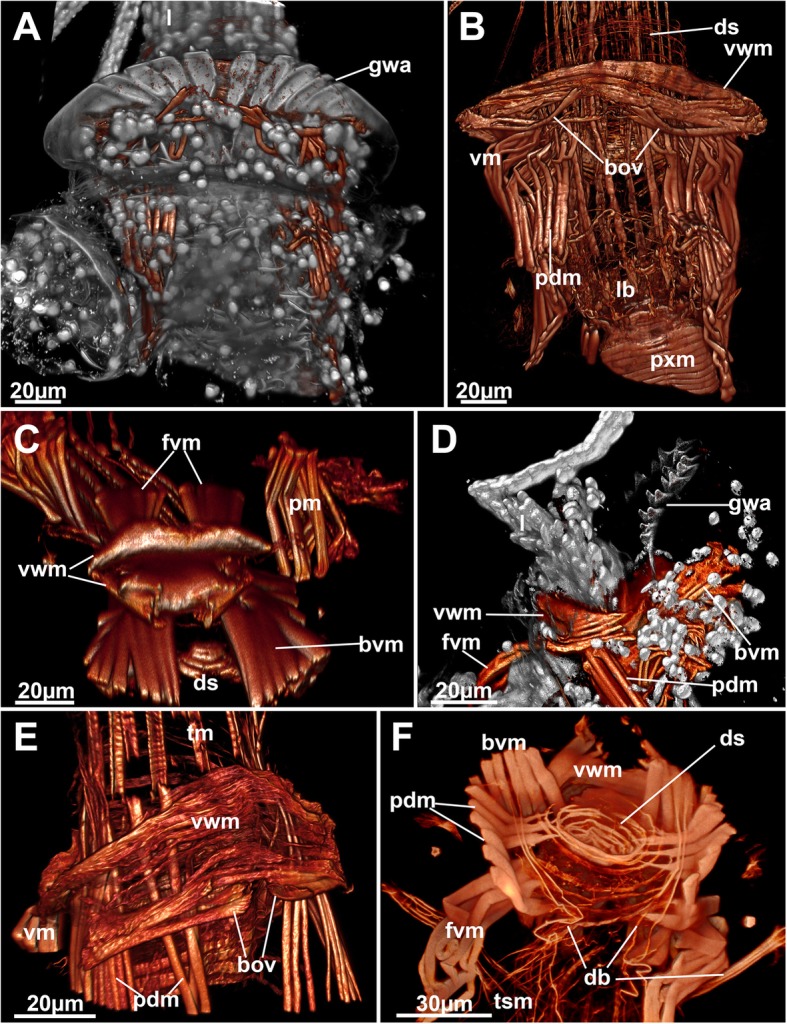 Fig. 8