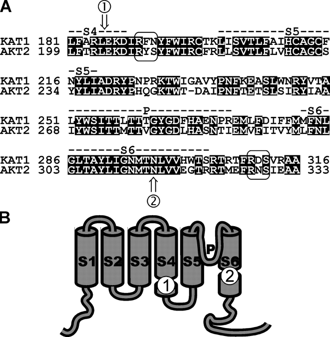 Figure 1.