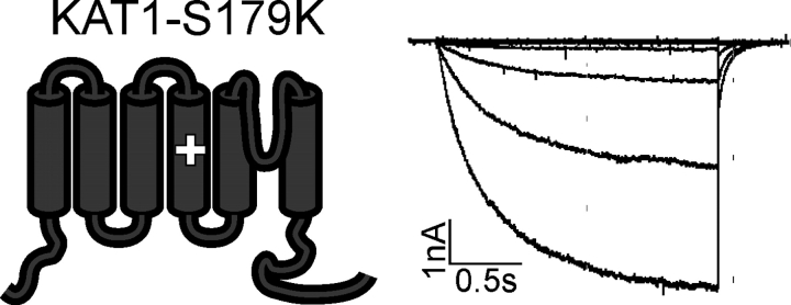 Figure 11.