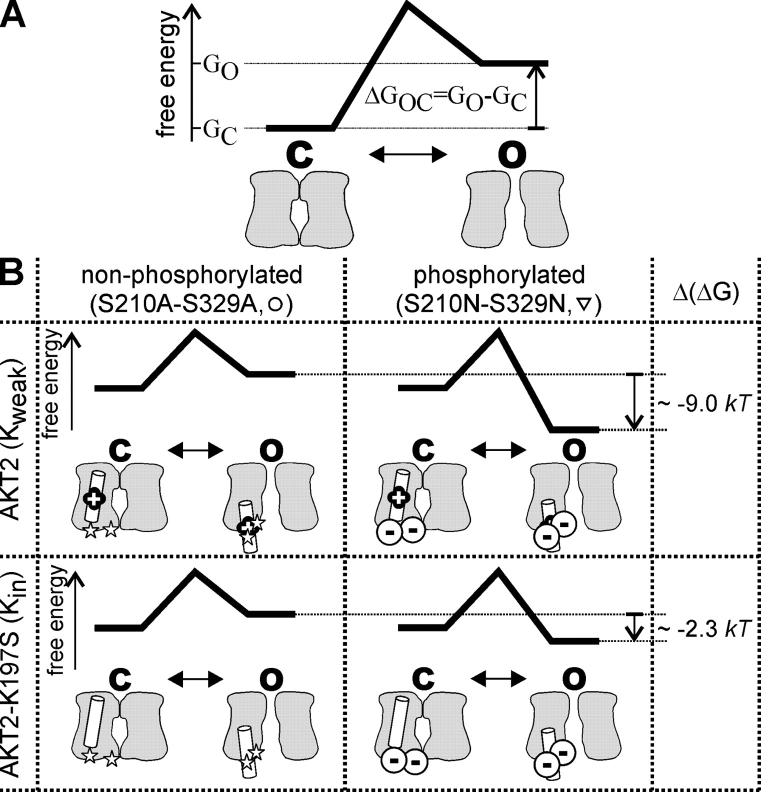 Figure 10.