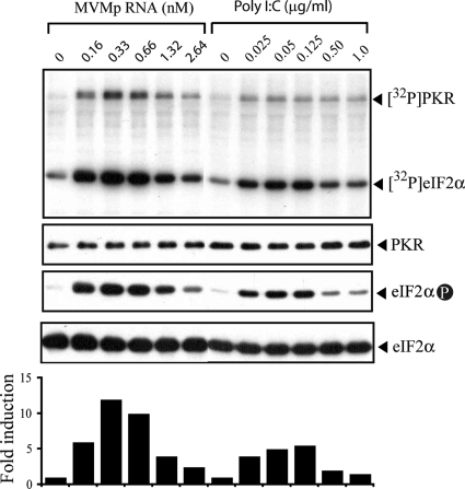 FIG. 5.