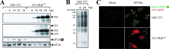 FIG. 2.