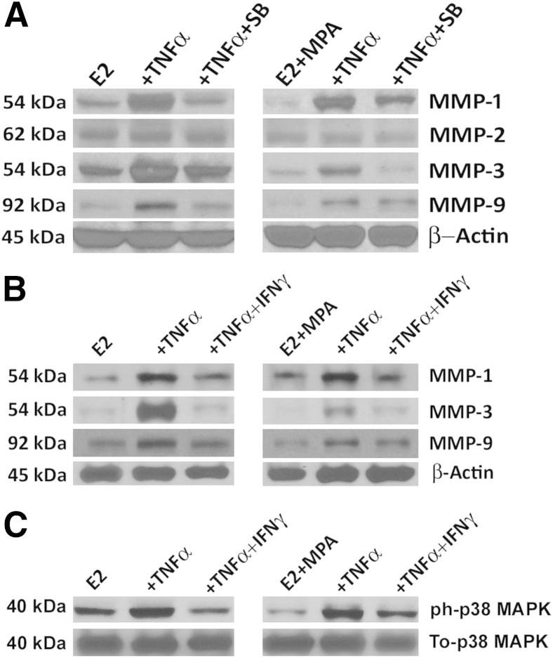 Figure 7