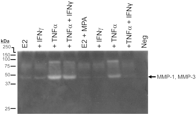 Figure 3